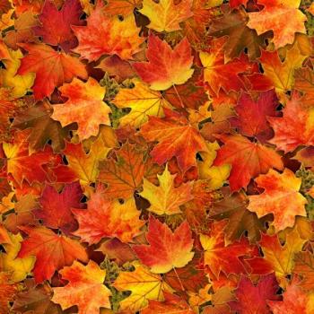 Leaves by Elizabeth's Studio